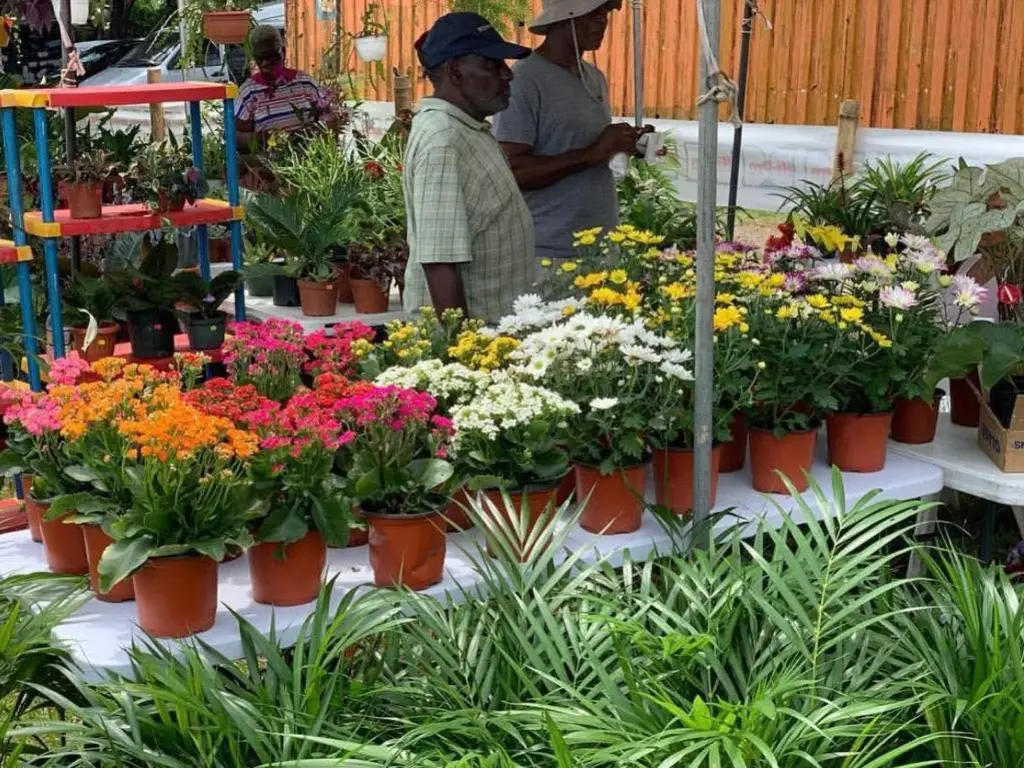 Customer experience with Eco.gro